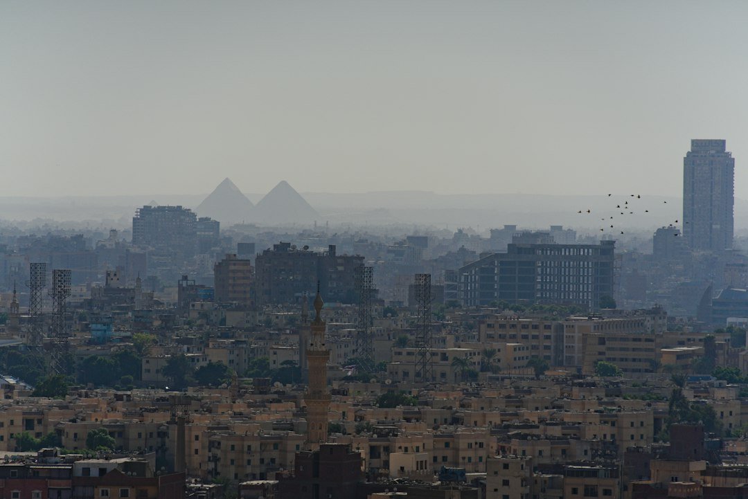 تأسيس شركة مساهمة في مصر واجتماع المستثمرين
