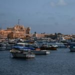 مشهد من مصر، صورة توضيحية لدليل الوضع القانوني للمنظمات