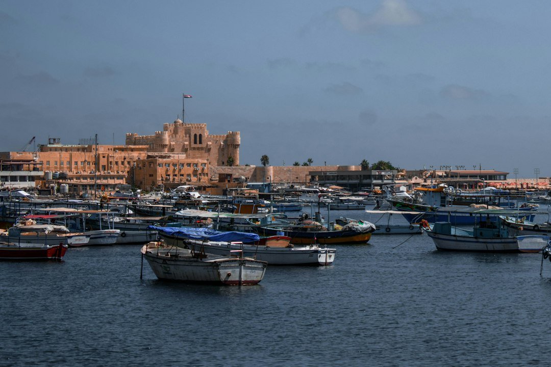 مشهد من مصر، صورة توضيحية لدليل الوضع القانوني للمنظمات
